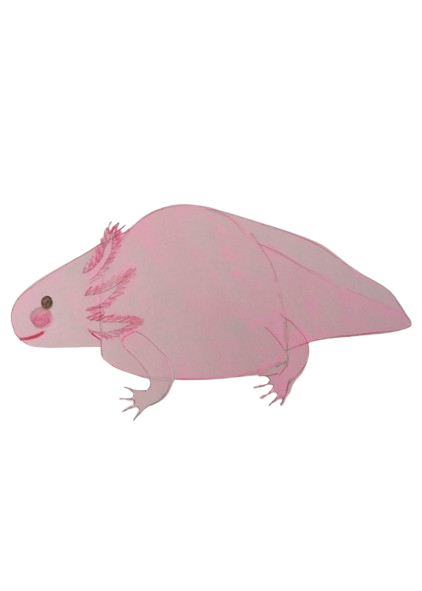 Axolotl Tea Cosy Design Sketch