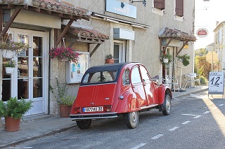 CitroÃ«n 2CV Tea Cosy