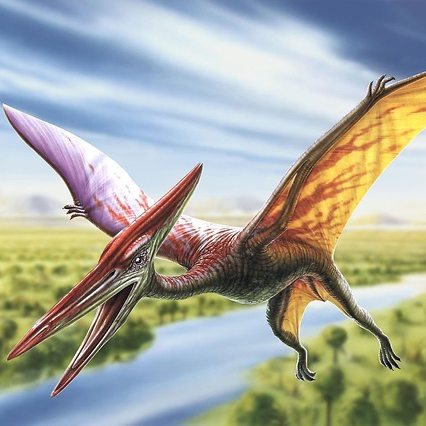 ideas board TeaCosyFolk's Pterodactyl Tea Cosy Design Sketch