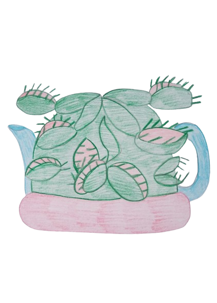 Hand?drawn sketch of the Venus Fly Trap Tea Cosy with large structural traps