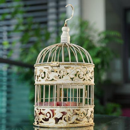 French Birdcage Tea Cosy