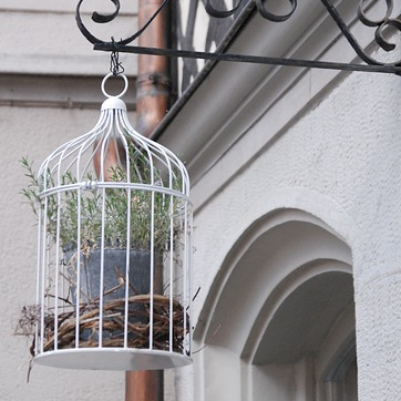 French Birdcage Tea Cosy