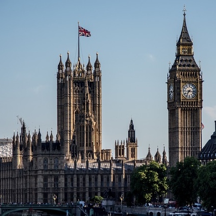 Black Rod Opening of Parliament Tea Cosy