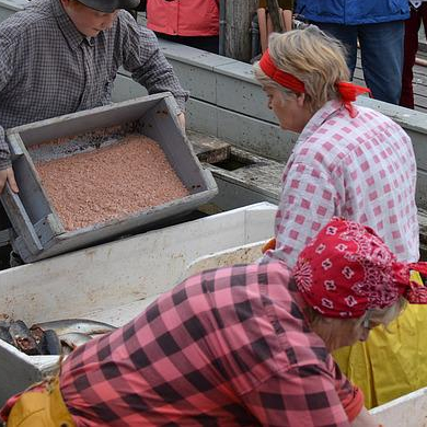 Herring Packer