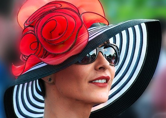 Ladies Day at Royal Ascot Tea Cosy