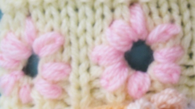 How to Lazy Daisy Stitch Around a Hole