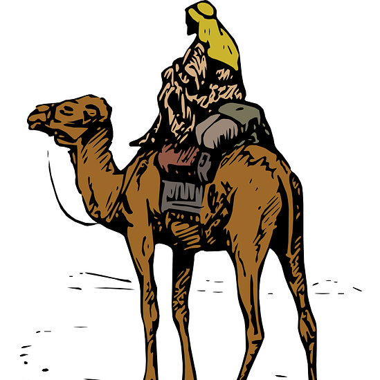 Wise Man on a Camel