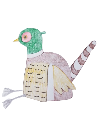 Pheasant Tea Cosy Design Sketch