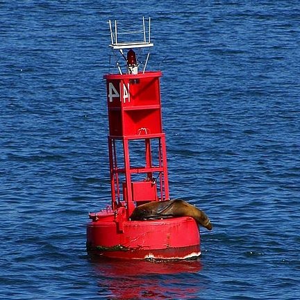 Buoy Tea Cosy