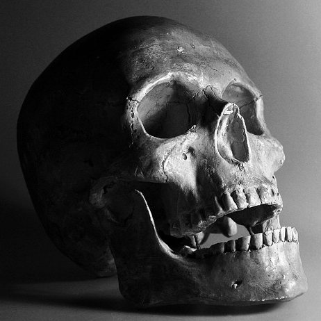 Halloween Skeleton Sweet Box Cover