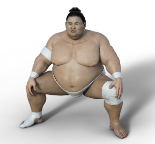 Sumo Wrestler Tea Cosy