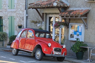 CitroÃ«n 2CV Tea Cosy