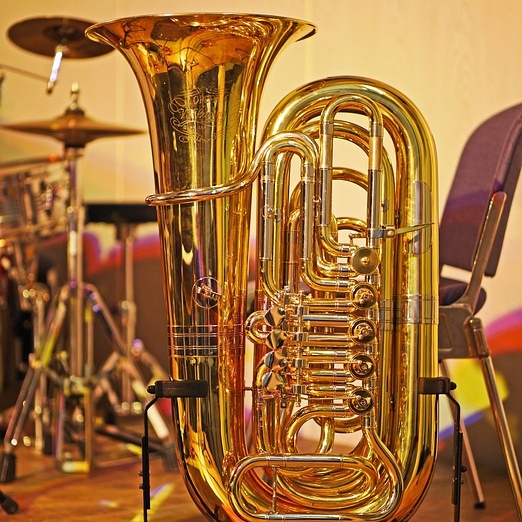 Tuba Player Tea Cosy