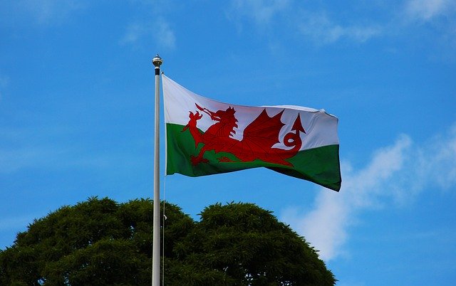 Welsh Dragon Tea Cosy