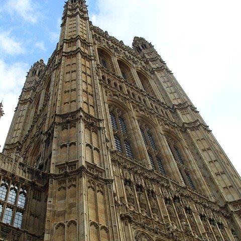 Palace of Westminster Tea Cosy