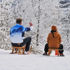 Sledging Tea Cosy