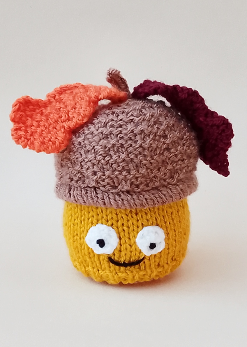 Acorn Chocolate Orange Cosy