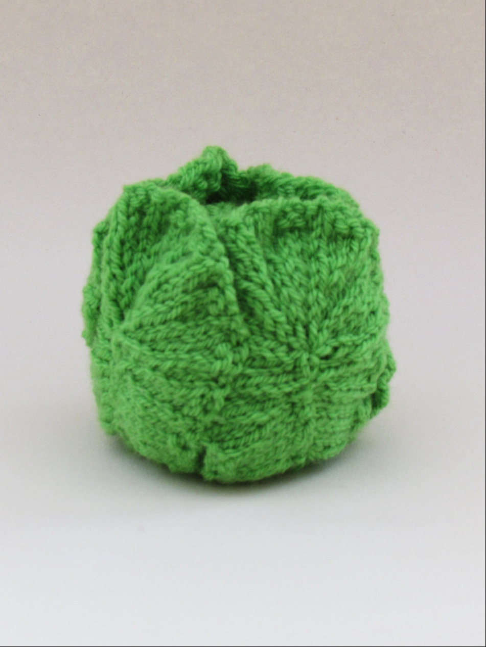 Brussel Sprout Cosy