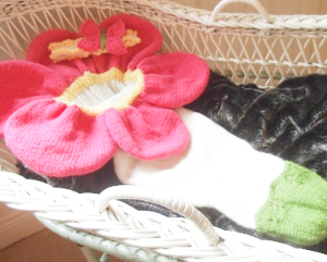 Baby's Flower Sleeping Bag