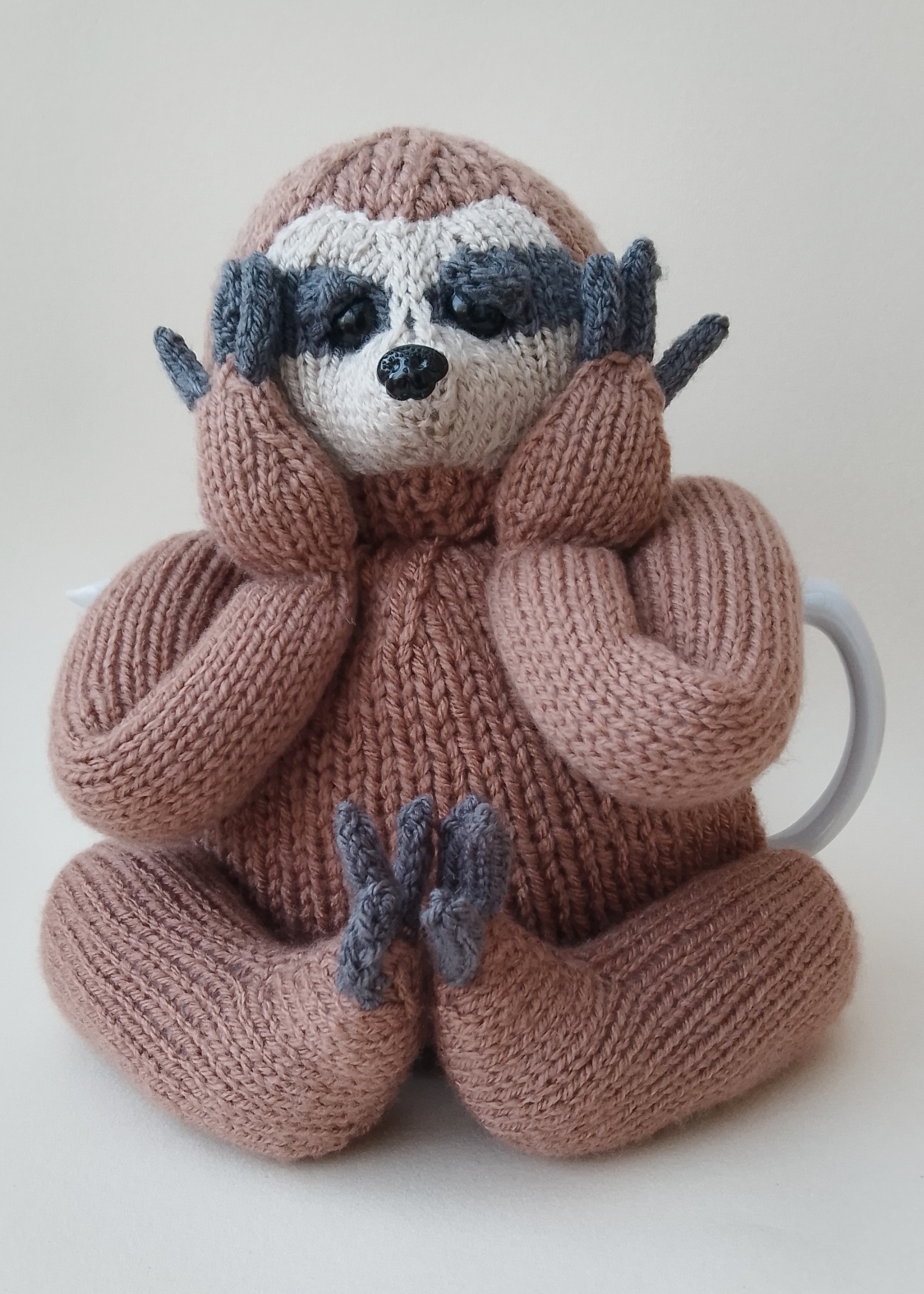 Three‑Toed Sloth