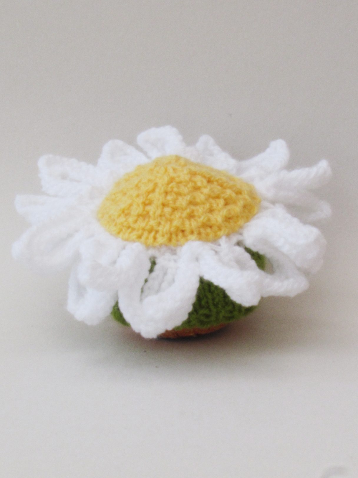 Daisy%20Chocolate%20Orange%20Cosy